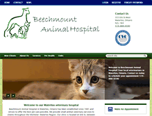 Tablet Screenshot of beechmountanhosp.ca